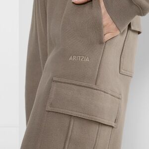 Aritzia Taupe Pants